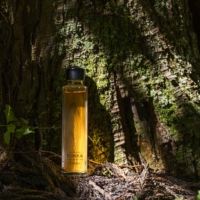 BOKKA is a sake that harnesses the power of the trees of Japan's forests. It is completed with respect for all those involved with trees and the future survival of forests.