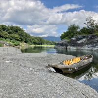 Riverboat cruises are a popular activity among visitors at Prefectural Nagatoro Tamayodo Natural Park in Nagatoro, Saitama Prefecture. | MALEE BAKER OOT