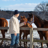 Tohoku Bokujo Manager Kazuki Kashiwazaki checks on thoroughbreds at the sustainability-oriented ranch and farm. | TOHOKU BOKUJO RANCH