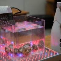 Space Oyster Farming Simulation Display