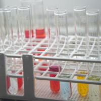 It was very interesting to see so many experiments in a wide range of fields from biotechnology to chemistry.