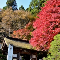 In Yamadera, beautiful autumn foliage can be seen in the fall.