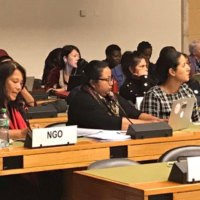 Musawah Board Chair Zainah Anwar (fourth from left) attends the 68th session of the U.N. Committee on the Elimination of Discrimination against Women in Geneva, in 2017. | MUSAWAH