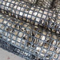 Shellnurse components containing oyster shells | MASANORI KOBAYASHI