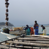 Bonds catalyze financing for ‘blue economies’