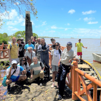 A mangrove workshop in Mauritius last December. | MITSUI O.S.K. LINES LTD.