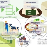 MEMORY LAB Inc., the brewery has conducted a comprehensive technical survey of the sake production process using generative AI.