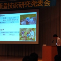 Scene from Toji Takizawa’s presentation on Ginjo brewing at Tsunan Sake Brewery