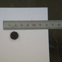 Produced Graphite Using Sake Lees