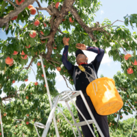 Farming improves with quality and determination