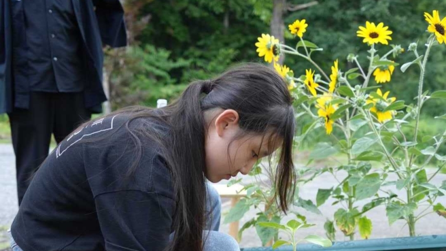 Tsunan Sake Brewery Hosts Sunflower Planting Event with Visitors