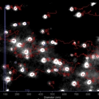 Tracking microscopic image of nanoparticles derived from Japanese sake