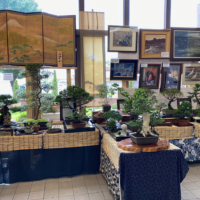 Bonsai, such as those shown at this pop-up shop in the U.S., are among the most popular Japanese items sold overseas.  | YASUYUKI SUZUKI