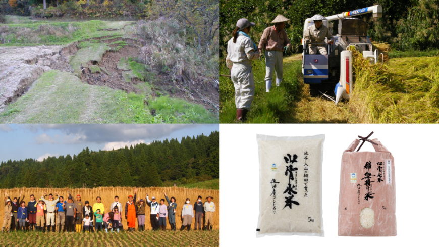 About the “Yamashimizu Rice Everyone’s Terraced Fields” Owner System Tsunan Sake Brewery Launches “Sake Rice Terrace Owner System” in Collaboration with Regional Revitalization NPO