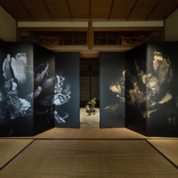 New beginnings for Biwako Biennale: Artfest features themed works from around the world