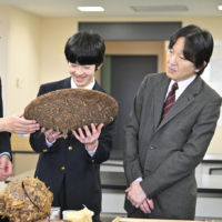 The prince and his father Crown Prince Akishino (right) examine a hornet’s nest during a visit to Tamagawa University’s  insect science laboratory in Machida, Tokyo, on April 6. | JIJI