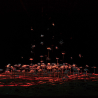 "Imagery Garden," an installation by saiho and Sayuri Hayashi Egnell, is shown at the Biwako Biennale in 2022. | YUTO HIRAKAKIUCHI