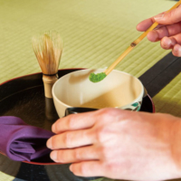 Route 1: Strolling in gardens and experiencing a tea ceremony | GO TOKYO