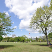 Route 6: Thirty minutes from Shinjuku; journey to enjoy history and nature | GO TOKYO