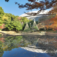Route 9: Streetscapes in Japan and an oasis in central Tokyo | GO TOKYO
