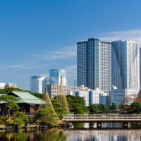 Route 11: Introduction to Japanese gardens, tea, food, craftsmanship, and Japanese culture | GO TOKYO