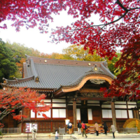 Route 13: Visit places of spiritual calm of temples, nature, sophisticated streets, and the Japanese spirit | GO TOKYO