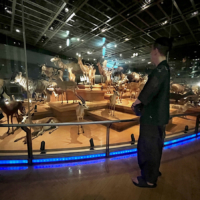 The National Museum of Nature and Science boasts a large collection of animal specimens.