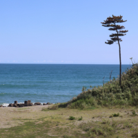 The south bank of the Asami River mouth is a beautiful photo spot near Ubatakejao Shrine.